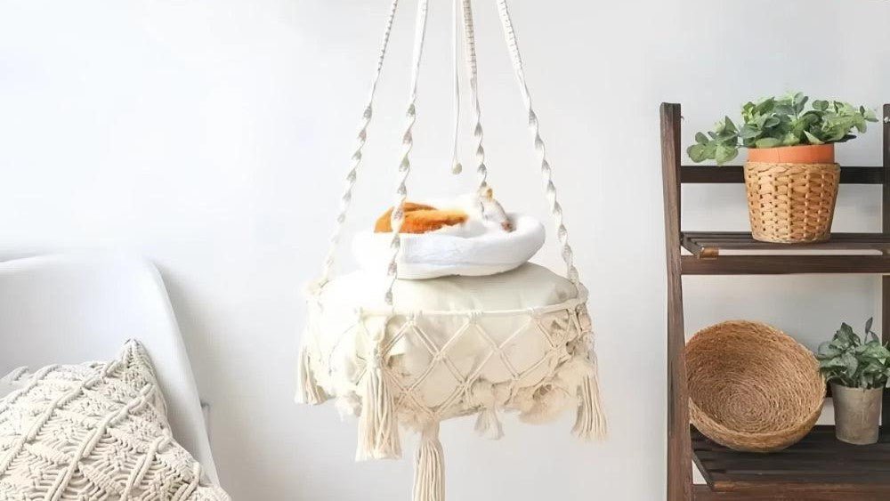 Cat Hammocks & Tepees - Bravo Pets