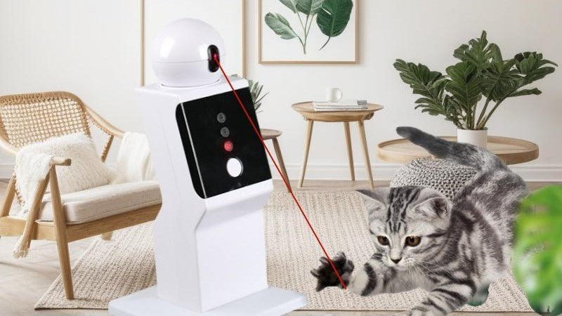 Cat Toys & Excercise - Bravo Pets