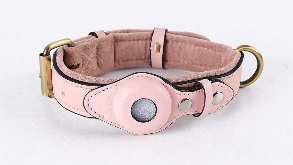 Collars, Leads & Harnesses - Bravo Pets