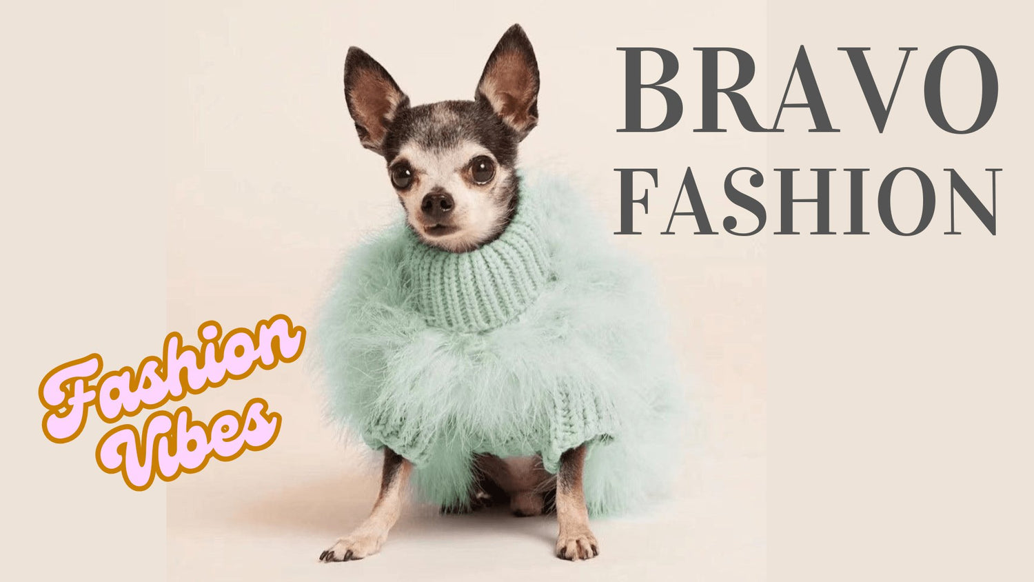 Dog & Cat Fashion - Bravo Pets