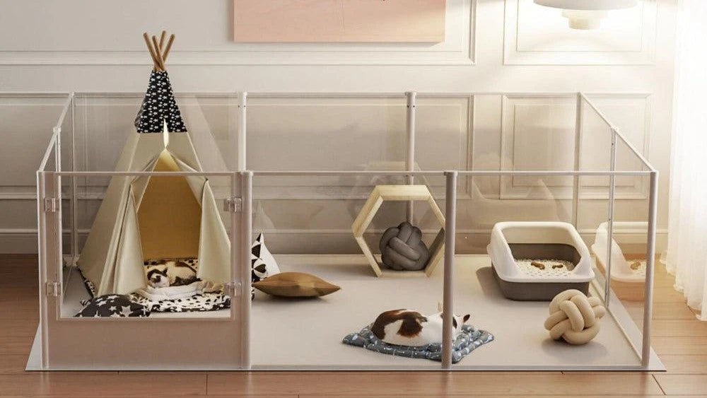 Pet Enclosures & Fencing - Bravo Pets