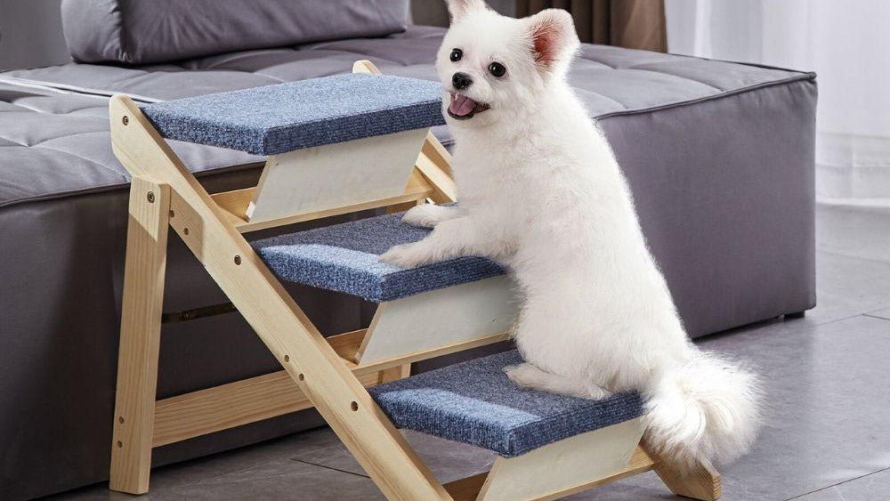 Pet Steps - Bravo Pets