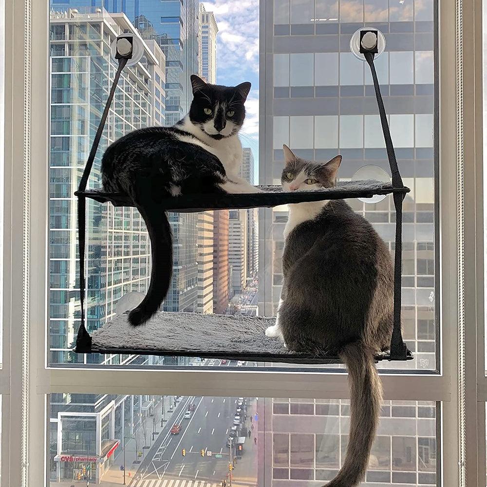 Two Layer Cat Window Perch Cat HammockCat HammockBravo Pets