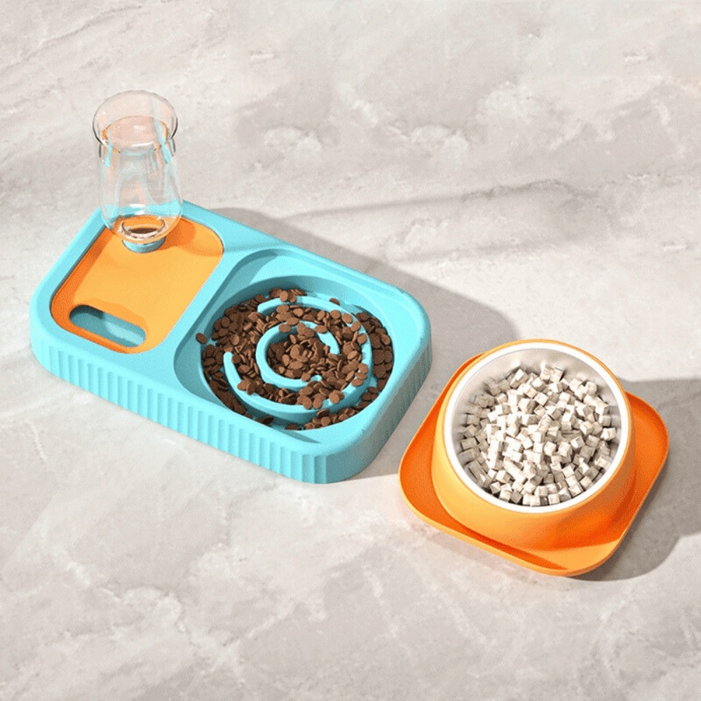 3 in 1 Pet Food Container with Automatic Drinking BottlePet Food/Water BowlBravo Pets