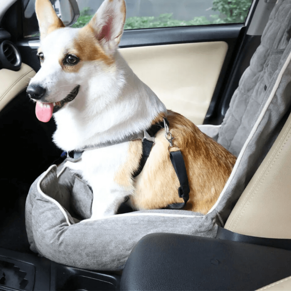 Anti - Slip Pet Booster Seat with Storage Pockets and Safety LeashPet Car CarrierBravo Pets