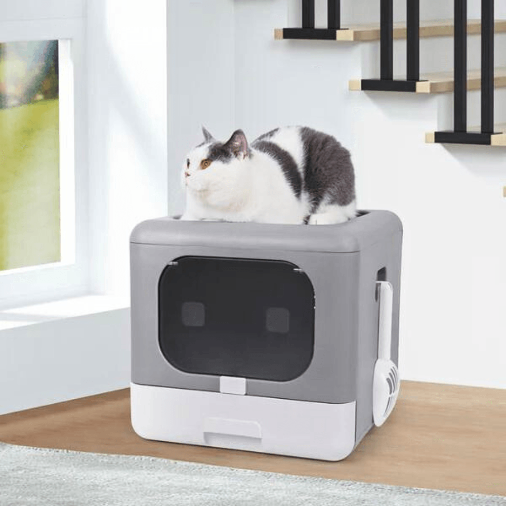 Sleek and Practical Cat Litter Box with Detachable DesignCat Litter BoxBravo Pets