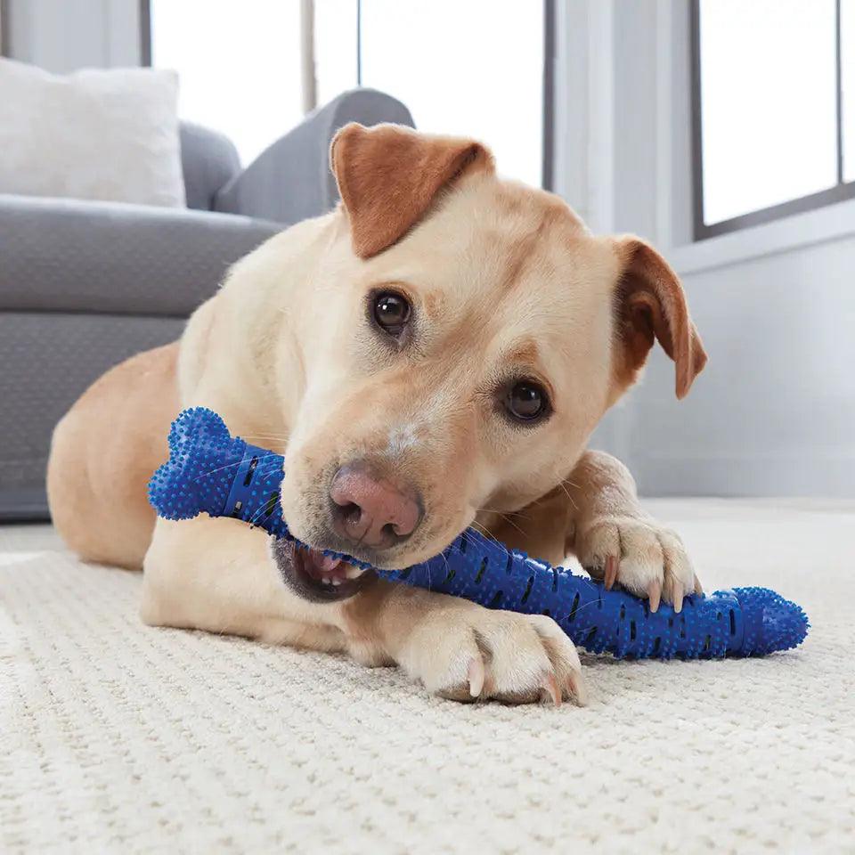 Pet - Safe Dog Chew Brush Toy – Dental Cleaning & Gum MassageDog ToyBravo Pets
