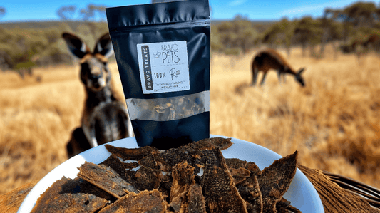 100% Dehydrated Kangaroo Jerky – Healthy, High - Protein Snack! 80gDog TreatsBravo Pets