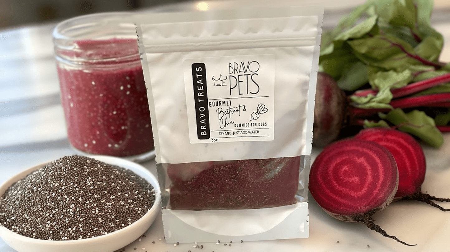Gourmet Beetroot & Chia DIY Gummies Mix - 30g - Includes Disposable Piping BagDog TreatsBravo Pets