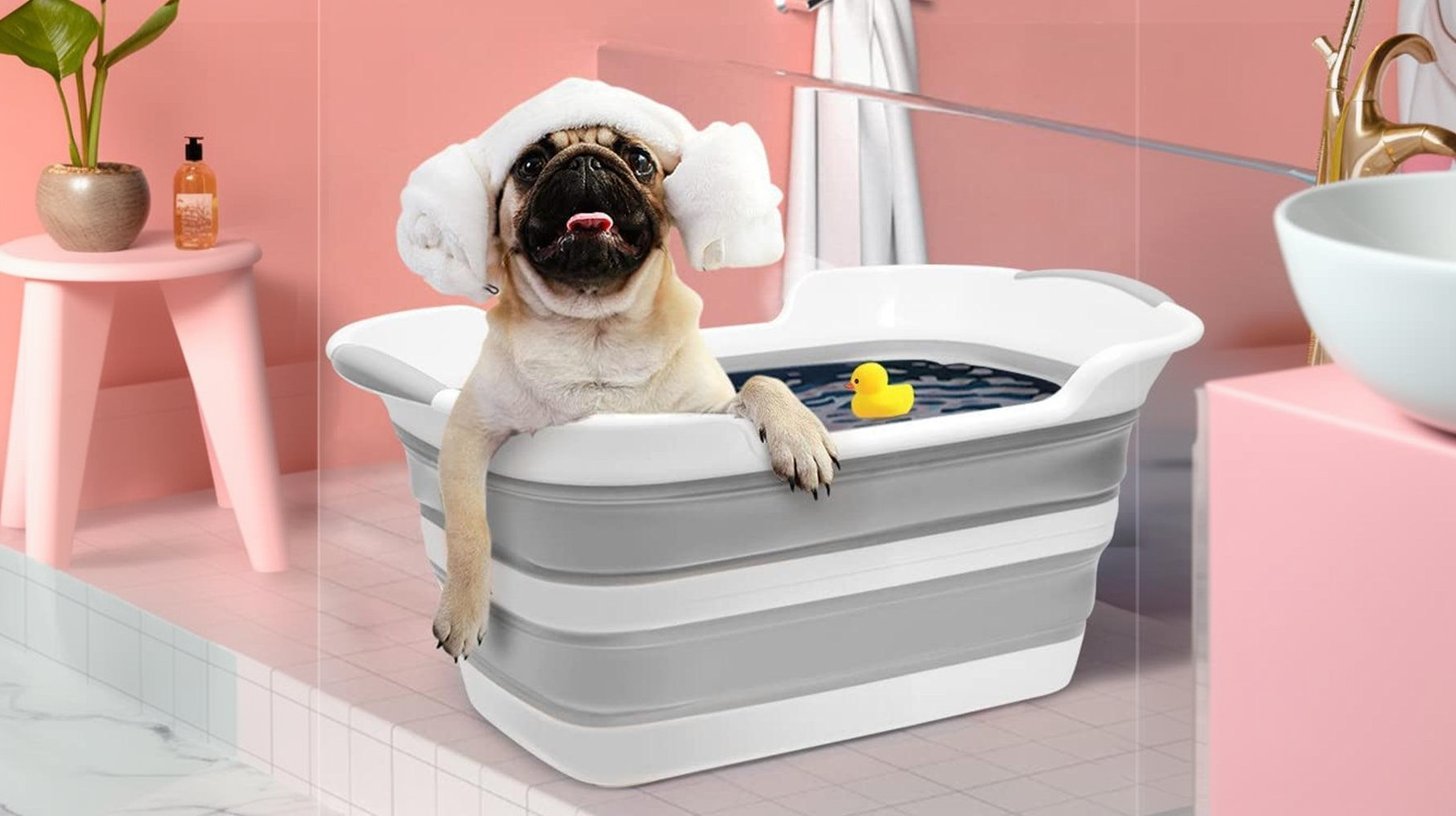 Pet Grooming Essentials - Bravo Pets