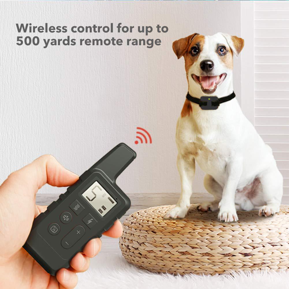 Waterproof Remote Dog Training Collar – 500m Range & Long Battery LifeDog TrainingBravo Pets