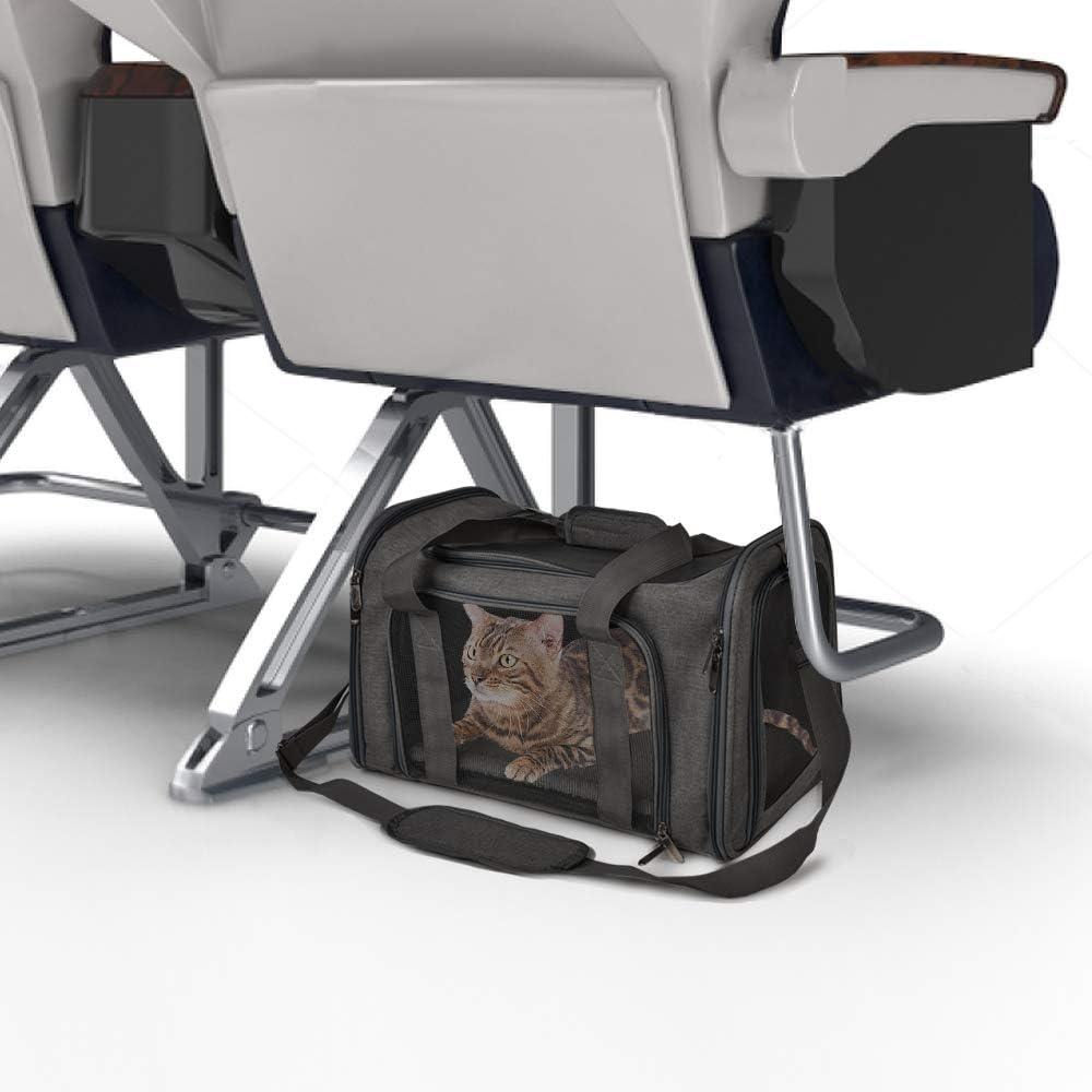 Cat Carriers Dog Carrier For Small Medium Cats Dogs PuppiesPet Car CarrierBravo Pets