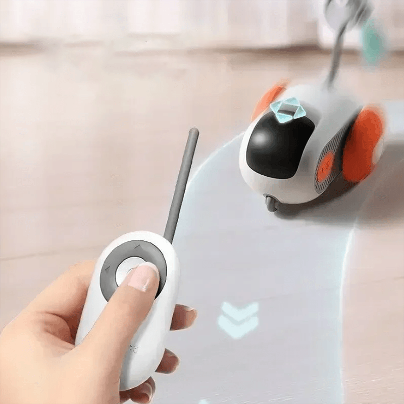 Rechargeable Interactive Remote Control Toy Car for CatsCat ToyBravo Pets