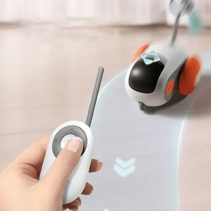 Rechargeable Interactive Remote Control Toy Car for CatsCat ToyBravo Pets