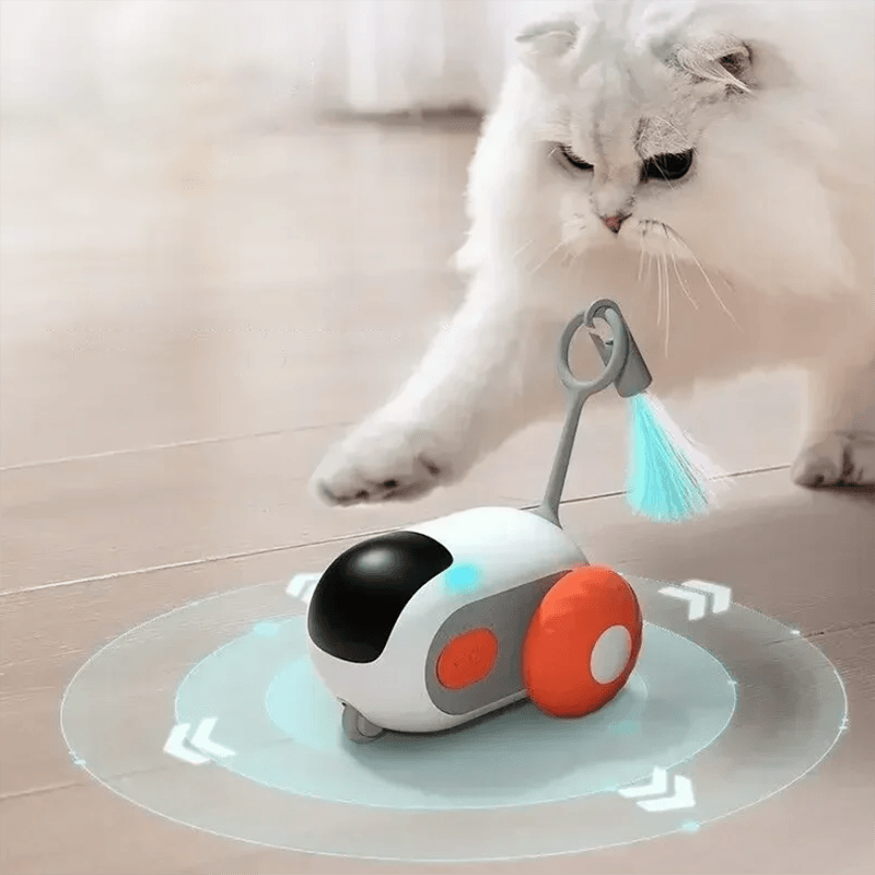 Rechargeable Interactive Remote Control Toy Car for CatsCat ToyBravo Pets