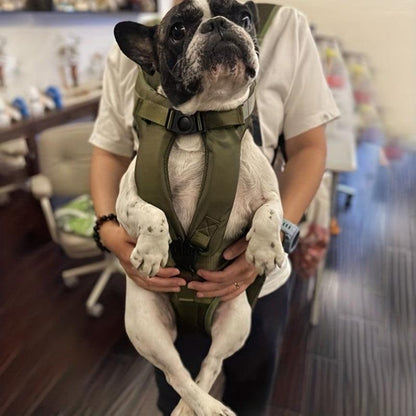 Ergonomic Pet Carrier Backpack – Comfortable & Secure for Small to Medium DogsDog BackPackBravo Pets