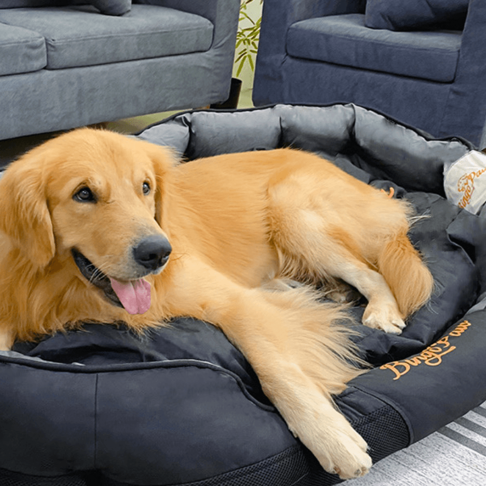 Waterproof Jumbo Orthopedic Sofa Dog Bed Pet Mat KennelDog BedBravo Pets