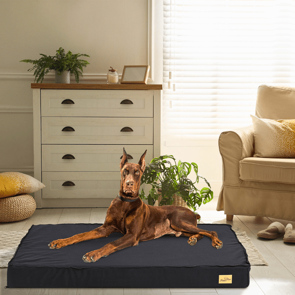 Waterproof Non - Slip Orthopedic Dog Bed for Large DogsDog BedBravo Pets