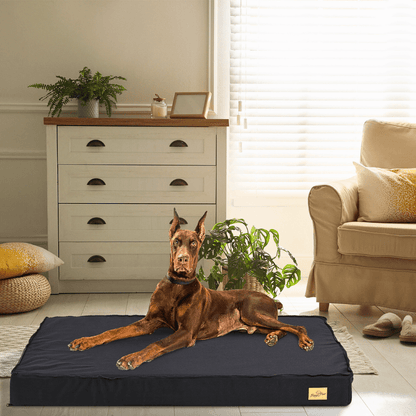Waterproof Non - Slip Orthopedic Dog Bed for Large DogsDog BedBravo Pets