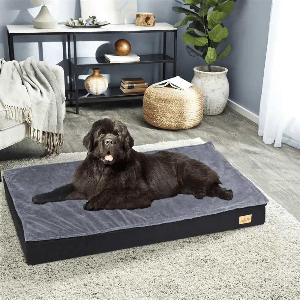 Comfy Orthopedic Dog Bed - Washable for Easy Maintenance - Perfect for Restful Sleep!General ProductBravo Pets