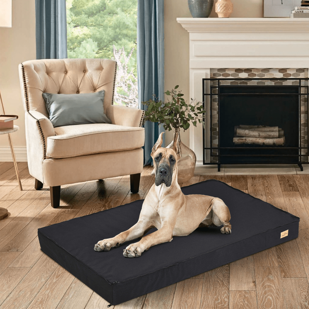 Comfy Orthopedic Dog Bed - Washable for Easy Maintenance - Perfect for Restful Sleep!General ProductBravo Pets