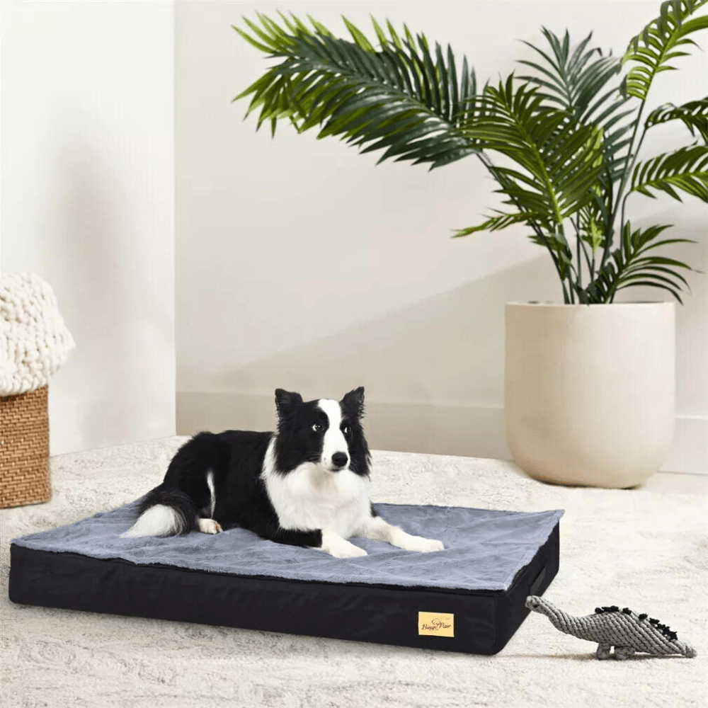Comfy Orthopedic Dog Bed - Washable for Easy Maintenance - Perfect for Restful Sleep!General ProductBravo Pets