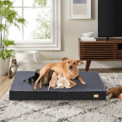 Comfy Orthopedic Dog Bed - Washable for Easy Maintenance - Perfect for Restful Sleep!General ProductBravo Pets