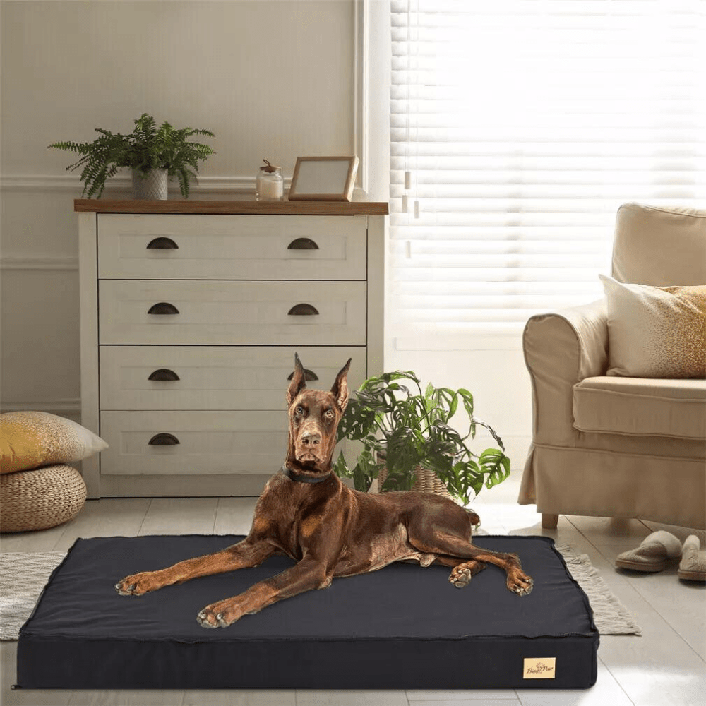 Comfy Orthopedic Dog Bed - Washable for Easy Maintenance - Perfect for Restful Sleep!General ProductBravo Pets