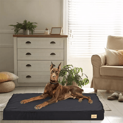Comfy Orthopedic Dog Bed - Washable for Easy Maintenance - Perfect for Restful Sleep!General ProductBravo Pets