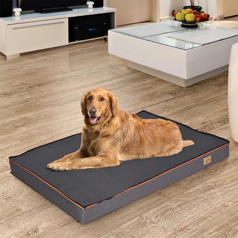 Orthopaedic Dog Bed - Large, Padded and Washable for Optimal ComfortGeneral ProductBravo Pets