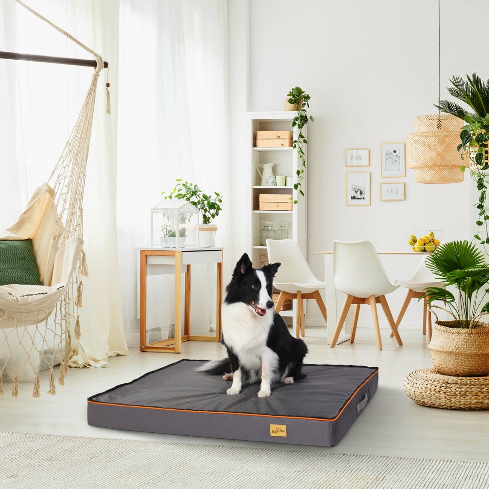 Orthopaedic Dog Bed - Large, Padded and Washable for Optimal ComfortGeneral ProductBravo Pets