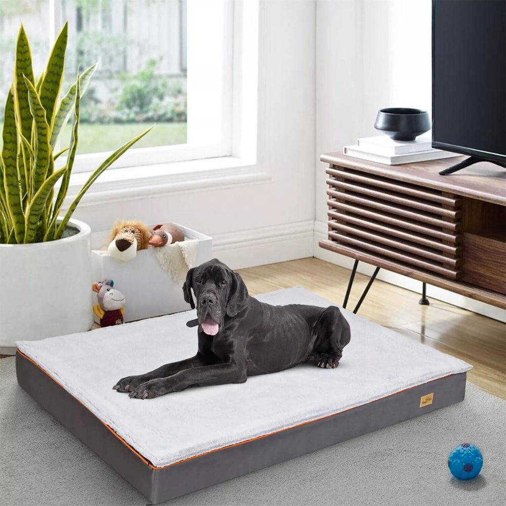 Orthopaedic Dog Bed - Large, Padded and Washable for Optimal ComfortGeneral ProductBravo Pets