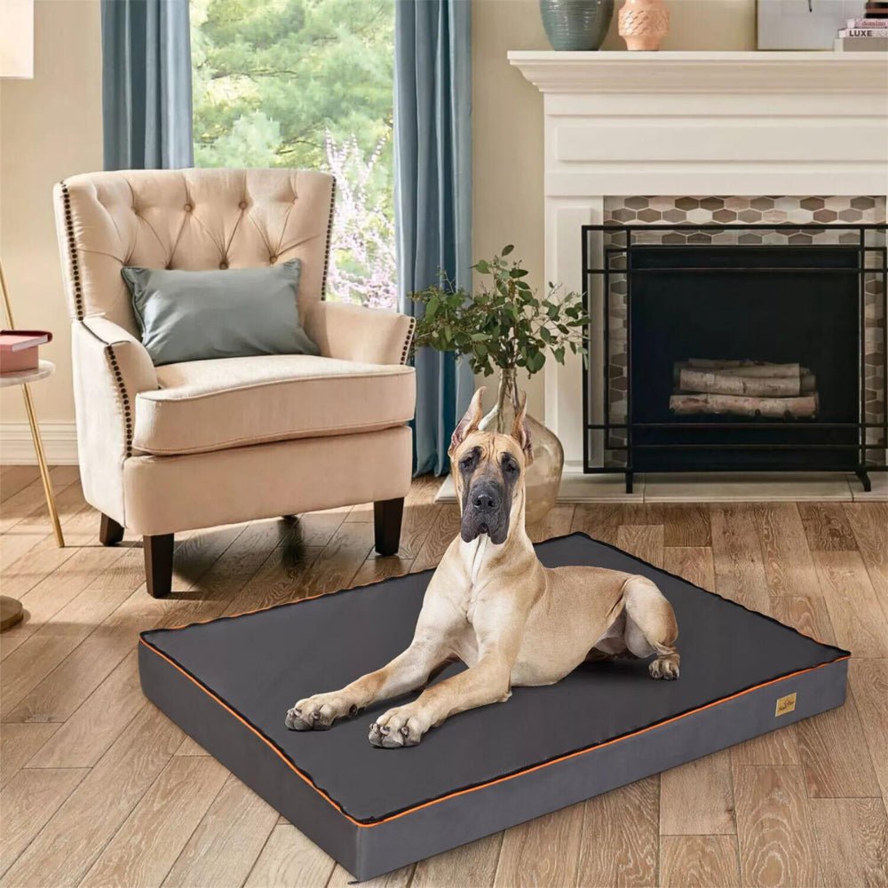 Orthopaedic Dog Bed - Large, Padded and Washable for Optimal ComfortGeneral ProductBravo Pets