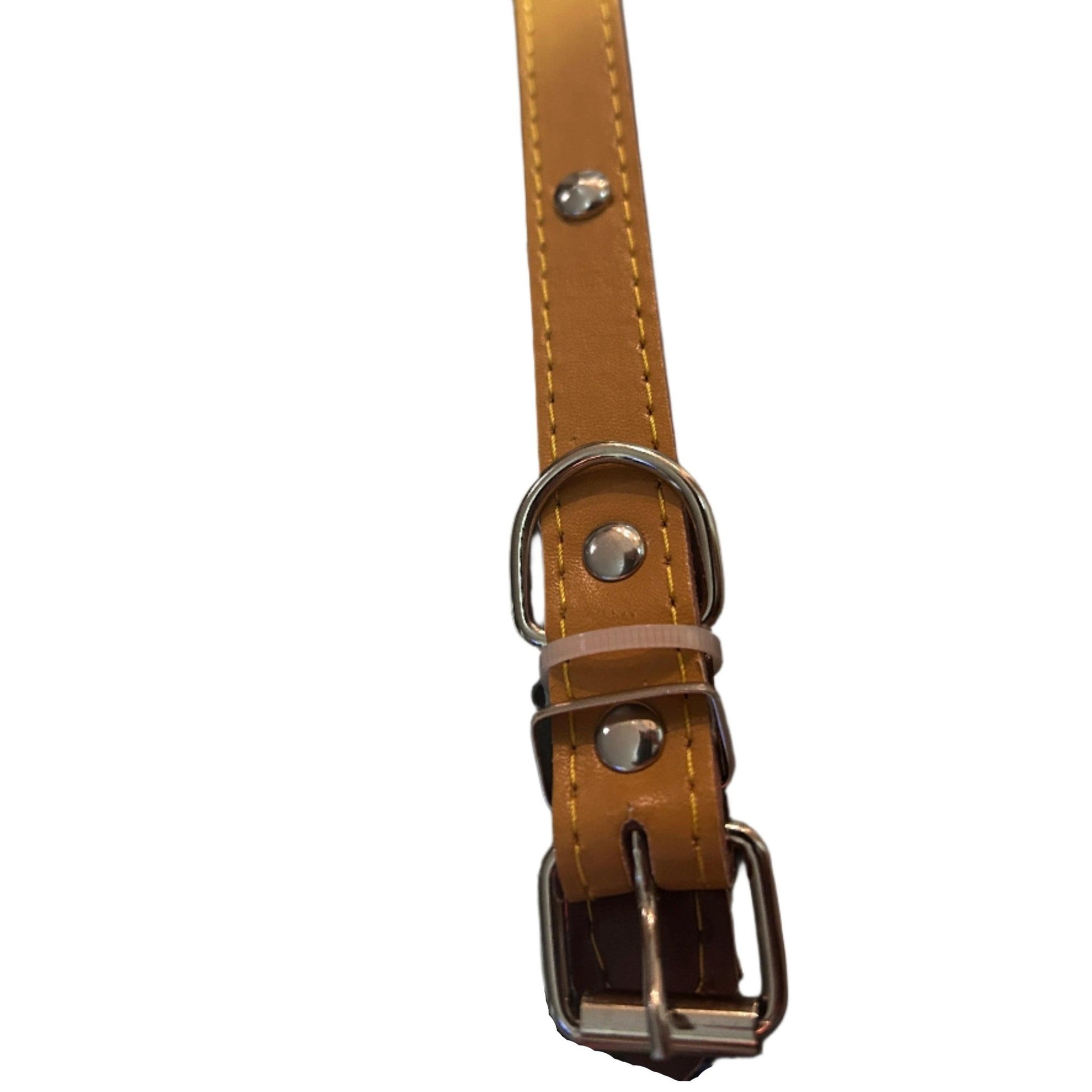 Premium Adjustable Leather Dog Collar – 46cm | Durable & Stylish for Active DogsDog CollarBravo Pets