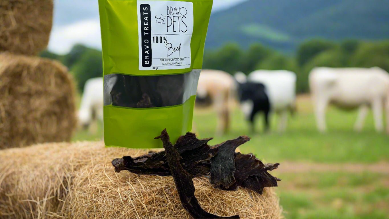 100% Dehydrated Beef Dog Treats – All - Natural & Protein - Packed! 80gDog TreatsBravo Pets