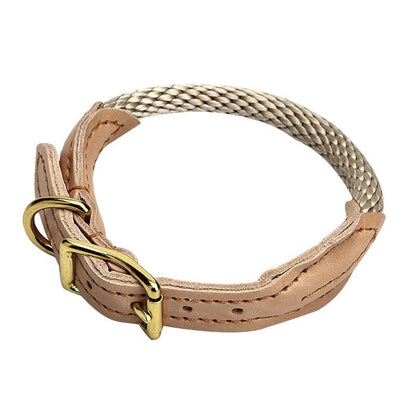 Premium Handmade Rolled Leather Dog Collar – Stylish & DurableDog CollarBravo Pets