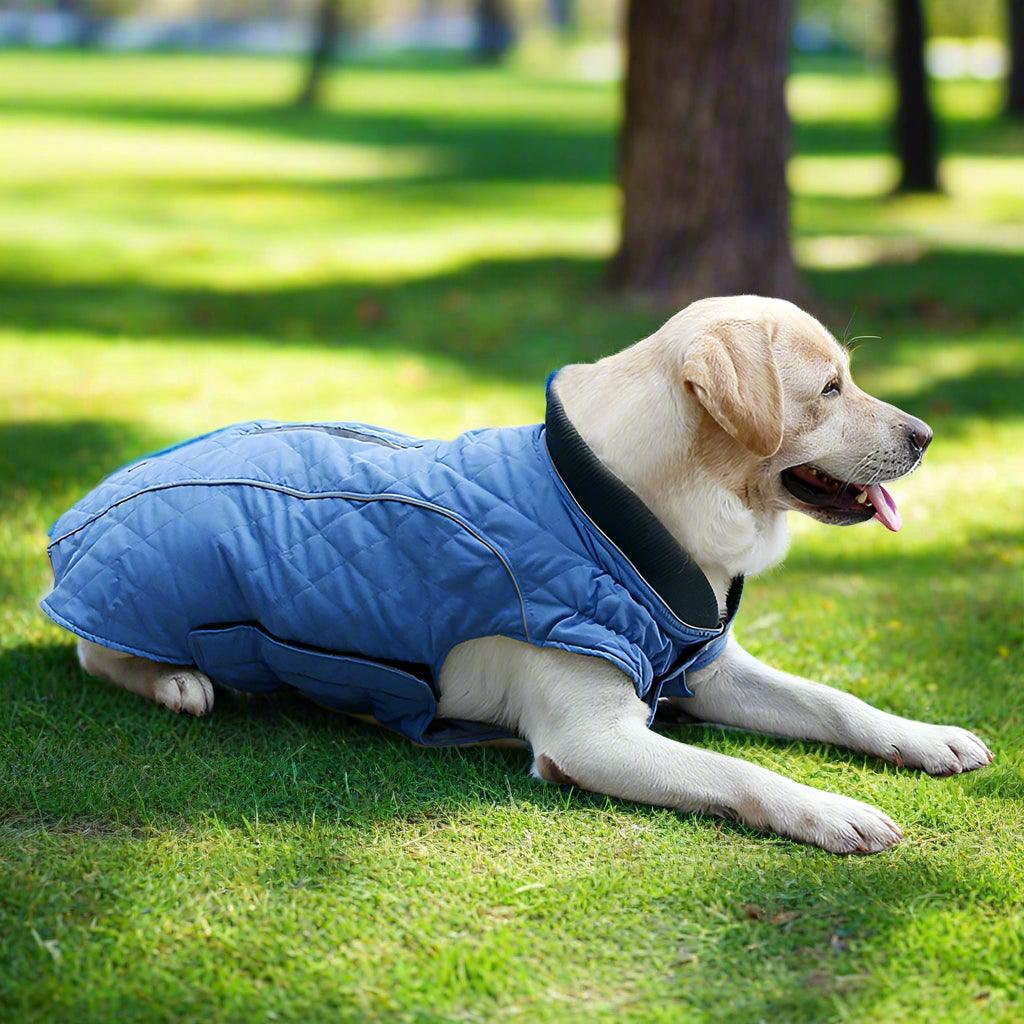 Warm Padded Dog Puffer Jacket with Reflective Stripes – All - Season Comfort & SafetyDog ApparelBravo Pets