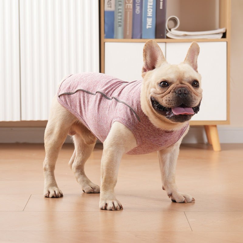 Trendy & Functional Breathable Dog T-Shirt with Reflective Paw Print & Traction BuckleDog ApparelBravo Pets